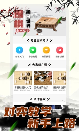 围棋大师