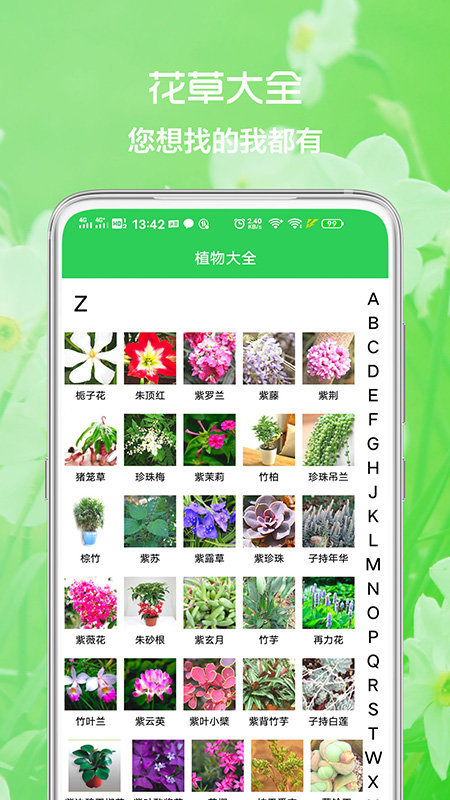 花草日记植物识别图3