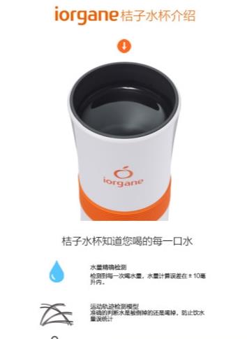 桔子水杯图2