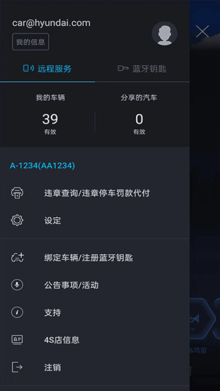 bluelink最新版本