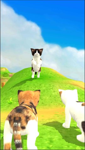 猫咪流浪记app