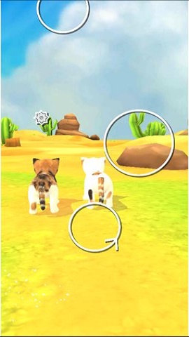 猫咪流浪记app图3