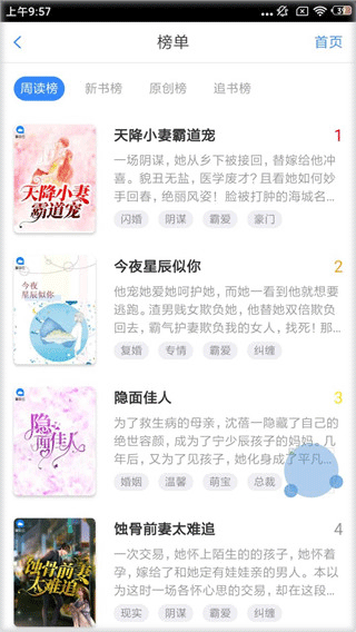 掌云小说图3