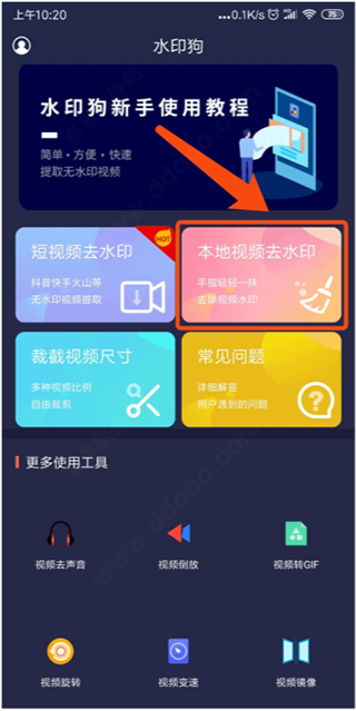 水印狗图3