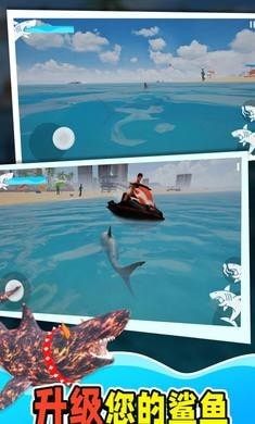 鲨鱼大猎杀安装图2