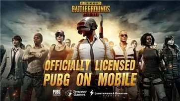 PUBG国际服手游最新版图1