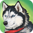 美国ZOOM动物最新版下载1.0.34安卓版