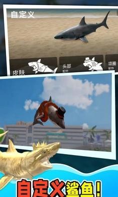 鲨鱼大猎杀安装图4