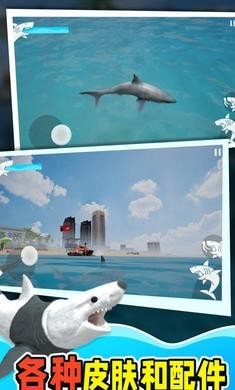 鲨鱼大猎杀安装图3