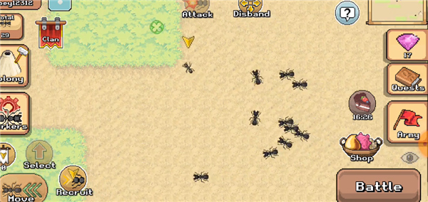 口袋蚂蚁(Pocket Ants)