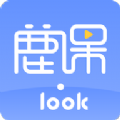 鹿课Look