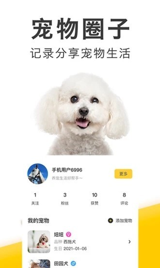 有只宠物图2