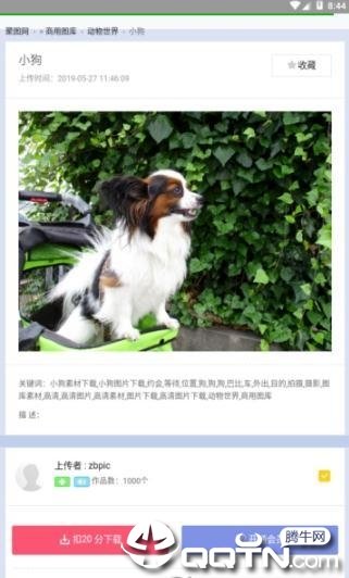 聚图库图2