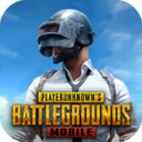 PUBGMOBILE国际服官方正版