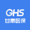 甘肃医保服务平台app官方版