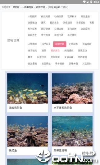 聚图库图1