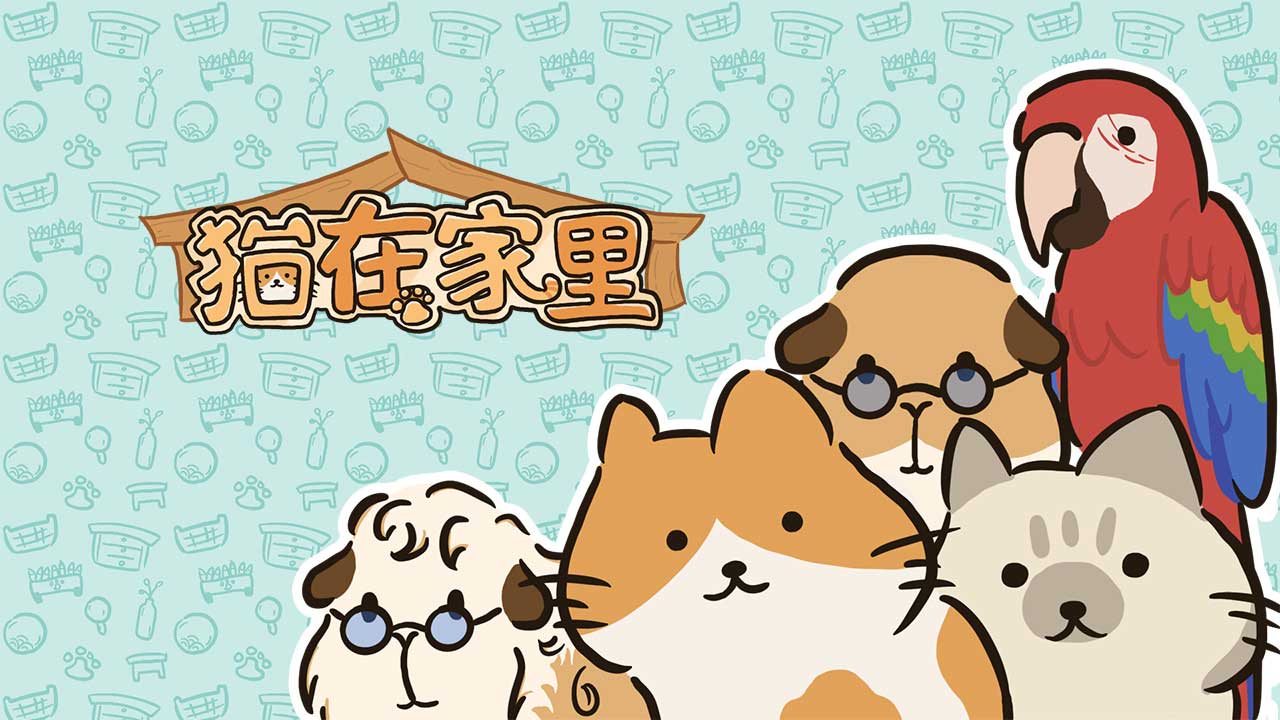 猫在家里截图1