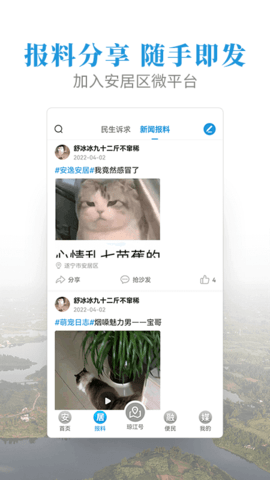 安居融媒图3