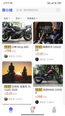 摩小猪图1