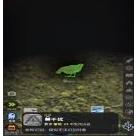 从细胞到奇点进化永无止境破解版