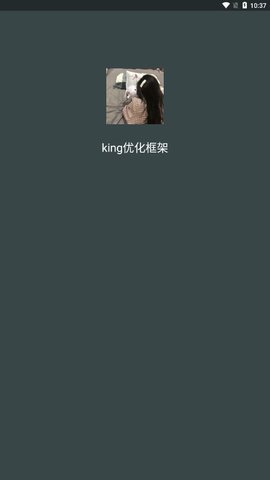 king优化框架