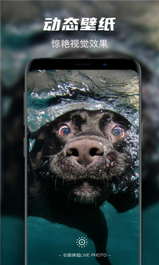 遥望壁纸秀截图7