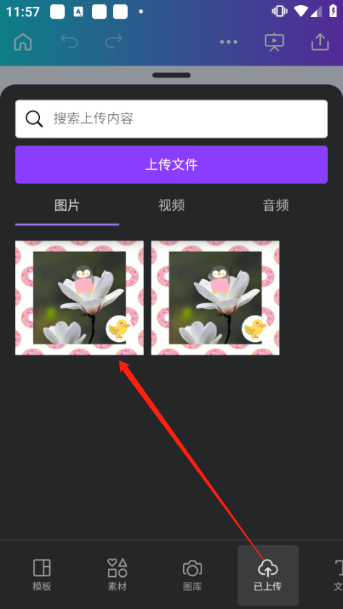 canva可画免费版