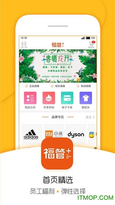 福管加图1