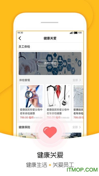 福管加图3