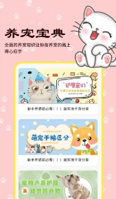 橙猫图3