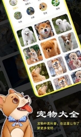 橙猫图1