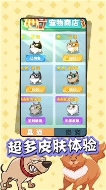 猫狗大乱斗截图2