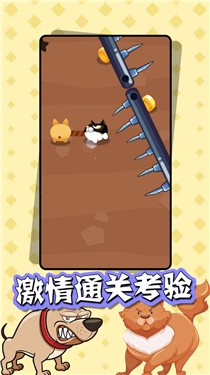 猫狗大乱斗图3