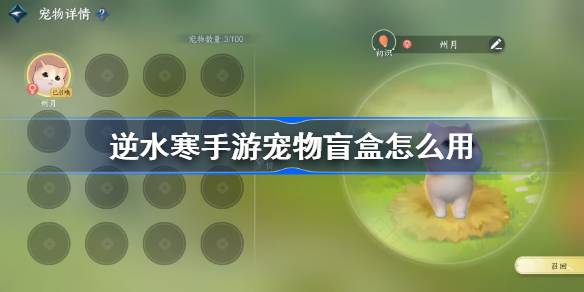 《逆水寒》手游宠物盲盒怎么用？