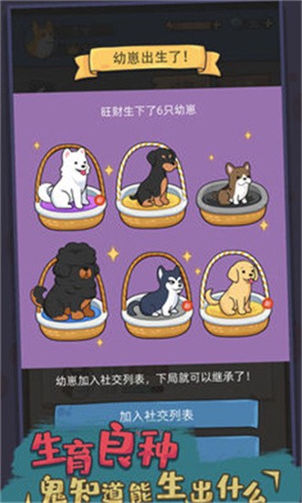 狗生模拟器最新版图2