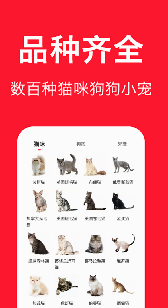 有什么关于小猫app推荐 好用的小猫app排行榜