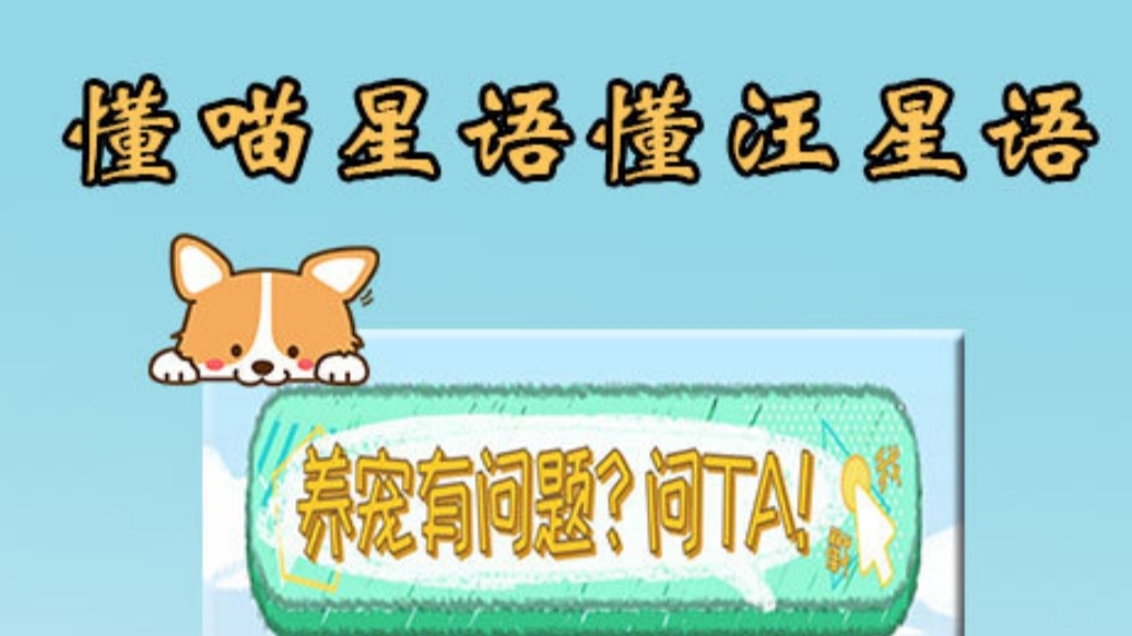 有哪些小奶猫app 小奶猫app推荐