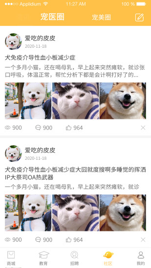 宠帮邦图2
