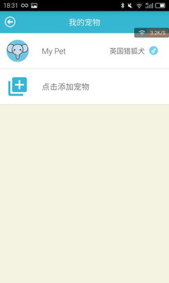 小桔宠物图2