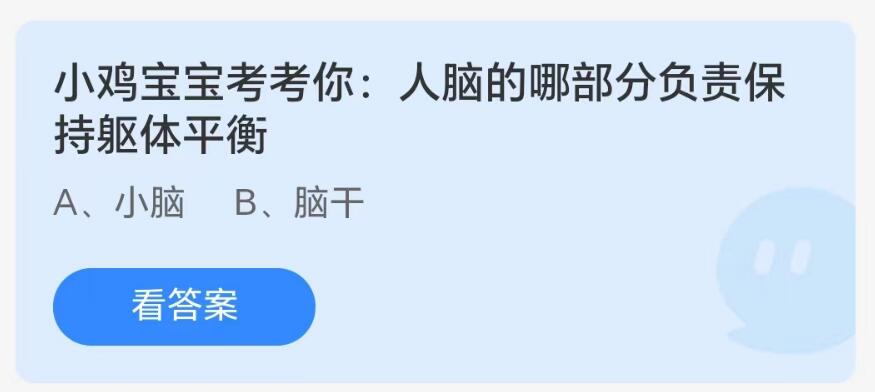 蚂蚁庄园8月3日：人脑的哪部分负责保持躯体平衡