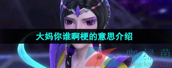 抖音大妈你谁啊梗的意思介绍