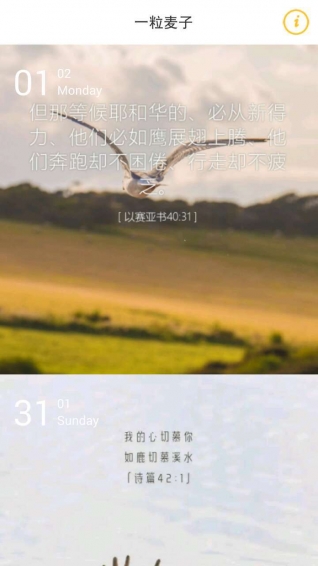 一粒麦子图3