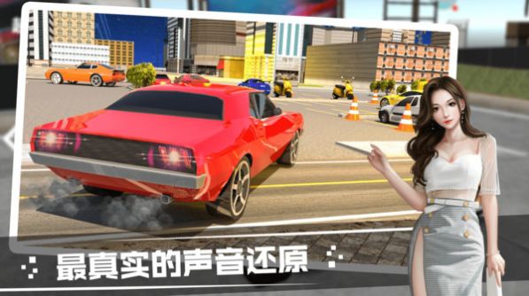 雪山道路驾驶模拟图1
