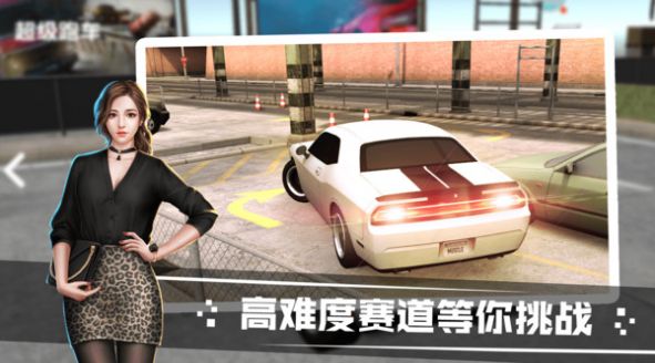 雪山道路驾驶模拟图5
