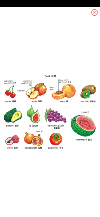 牛津高阶英汉双解词典图2