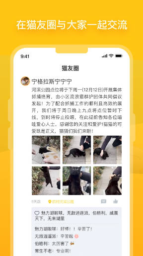 哈啰街猫截图3