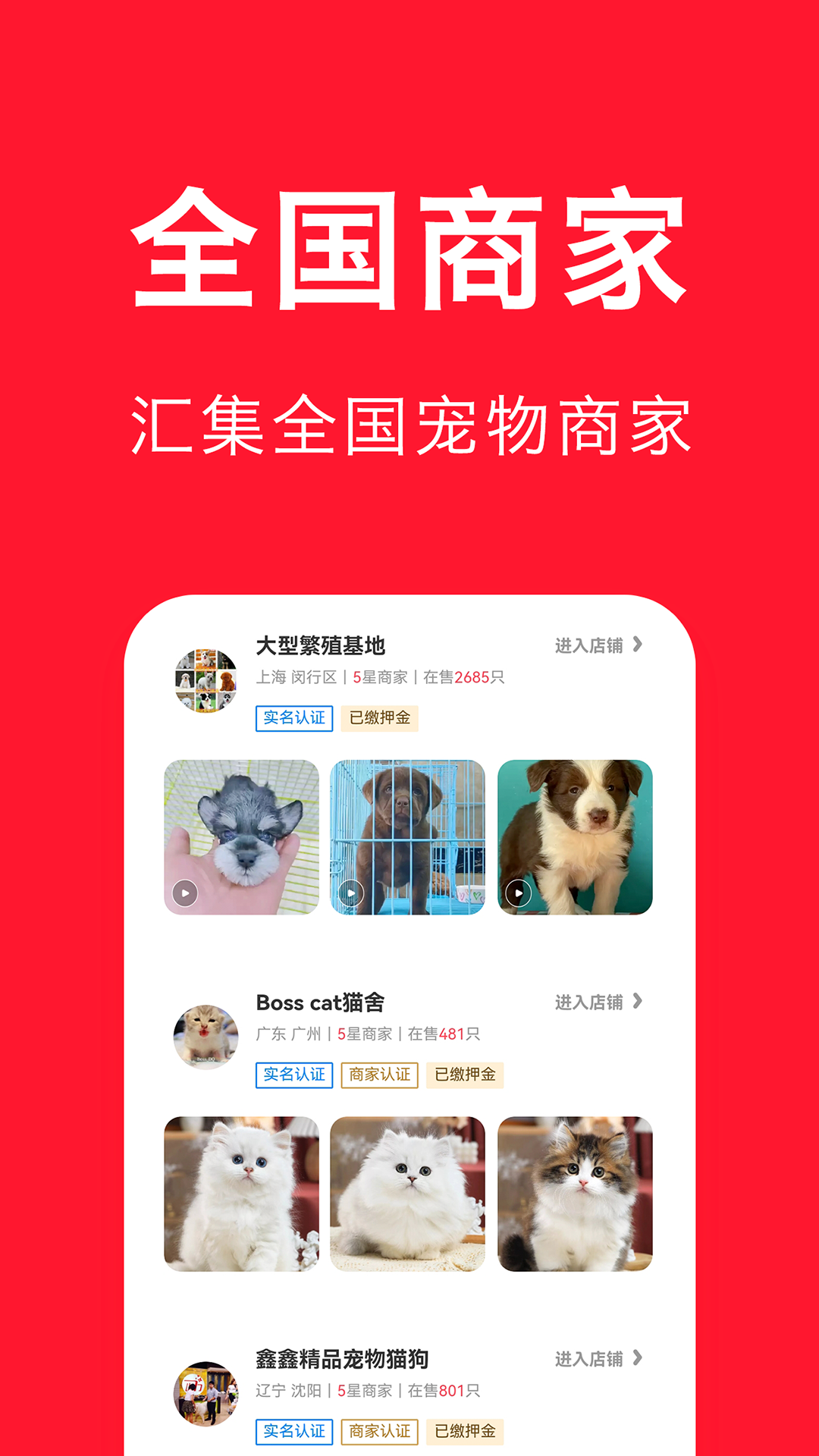 宠物宝app