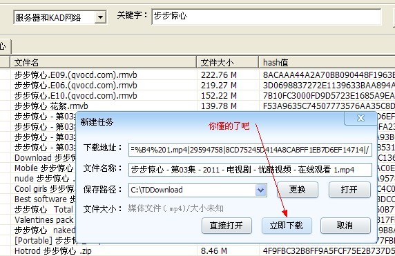 P2PSearcher的详细使用教程