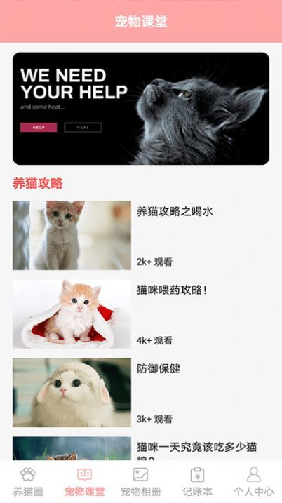 遇见我的猫完整版图1