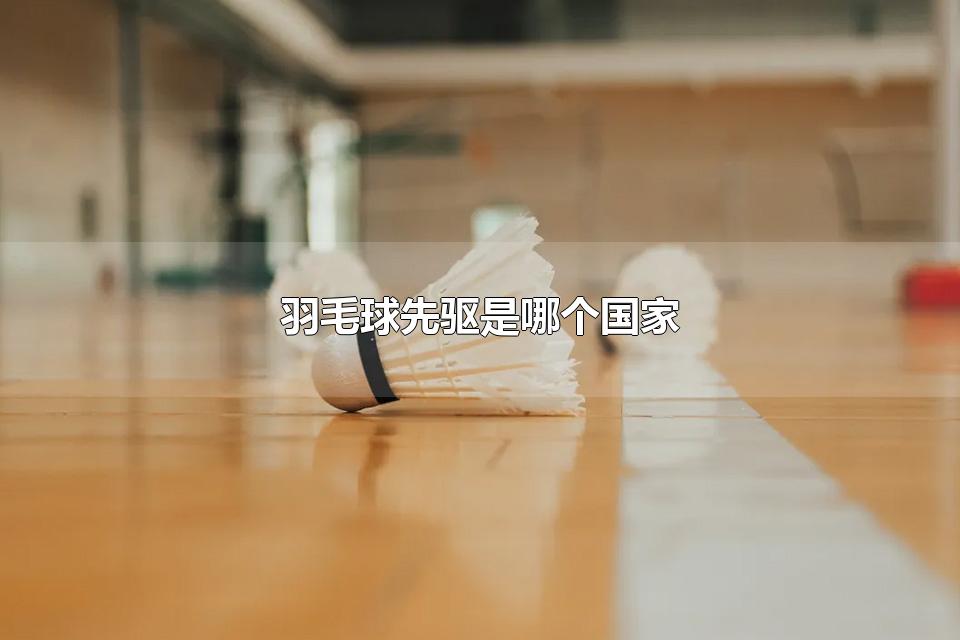 羽毛球先驱是哪个国家羽毛球的代表人物有哪些